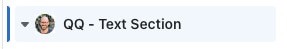 The name of the section