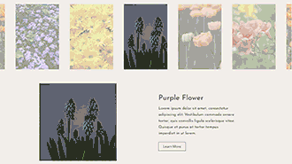 carousel of details Shopify section
